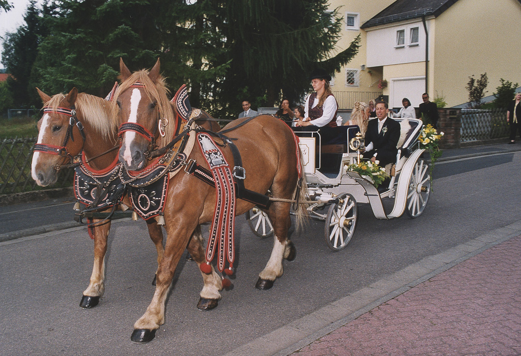 Zum Vergrößern auf das Bild klicken